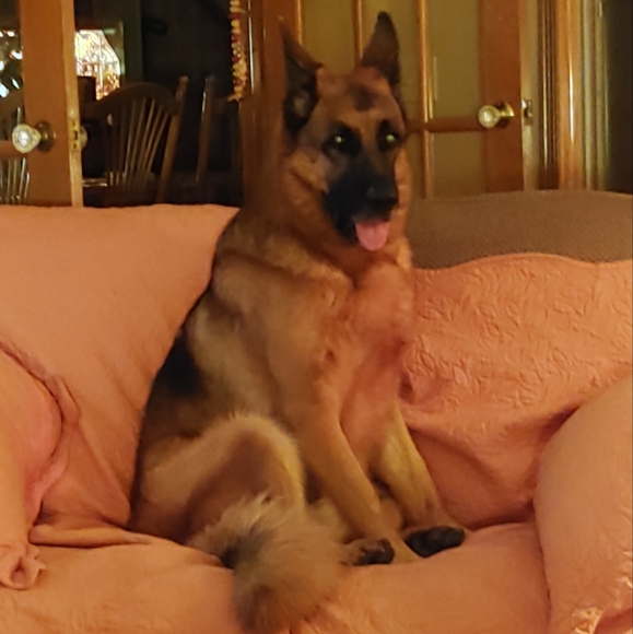 Meet your Posher, Laura - Picture 5 of 10